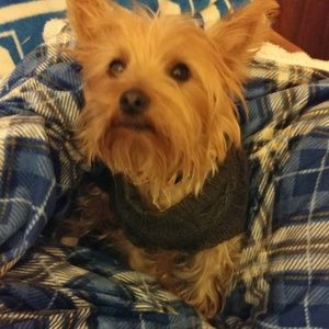 Meet your Posher, Melinda